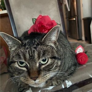 Valentines Day Sale🌹